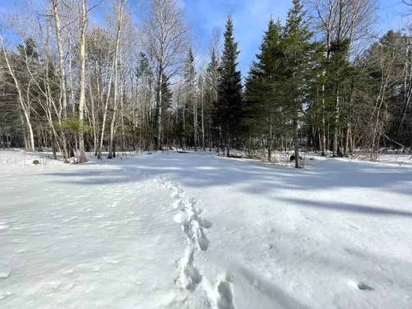 Jackman, ME 04945,7 Birch ST