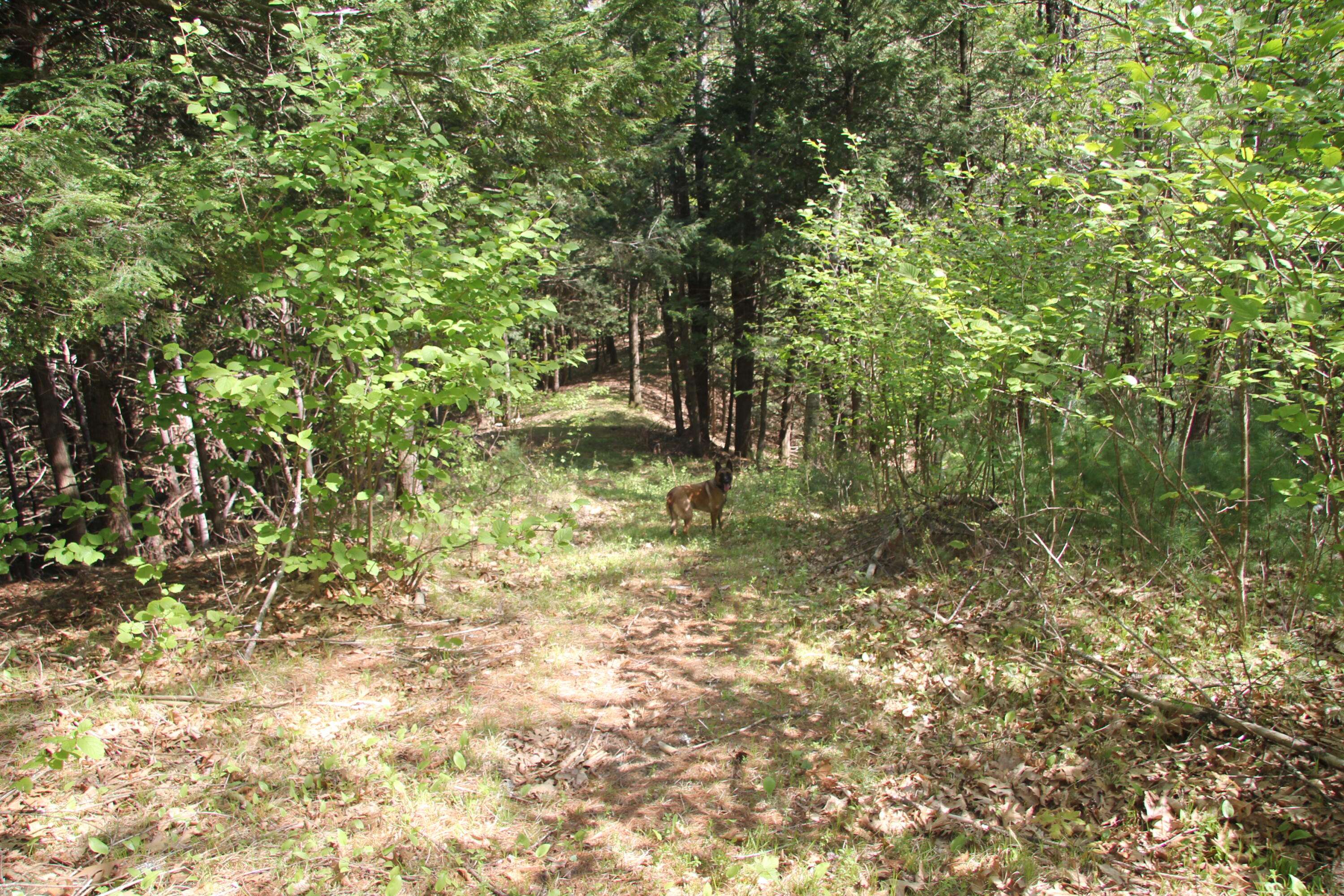 00 Knight Farm RD, Kennebunk, ME 04043