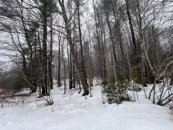 Freeport, ME 04032,0 US Route 1