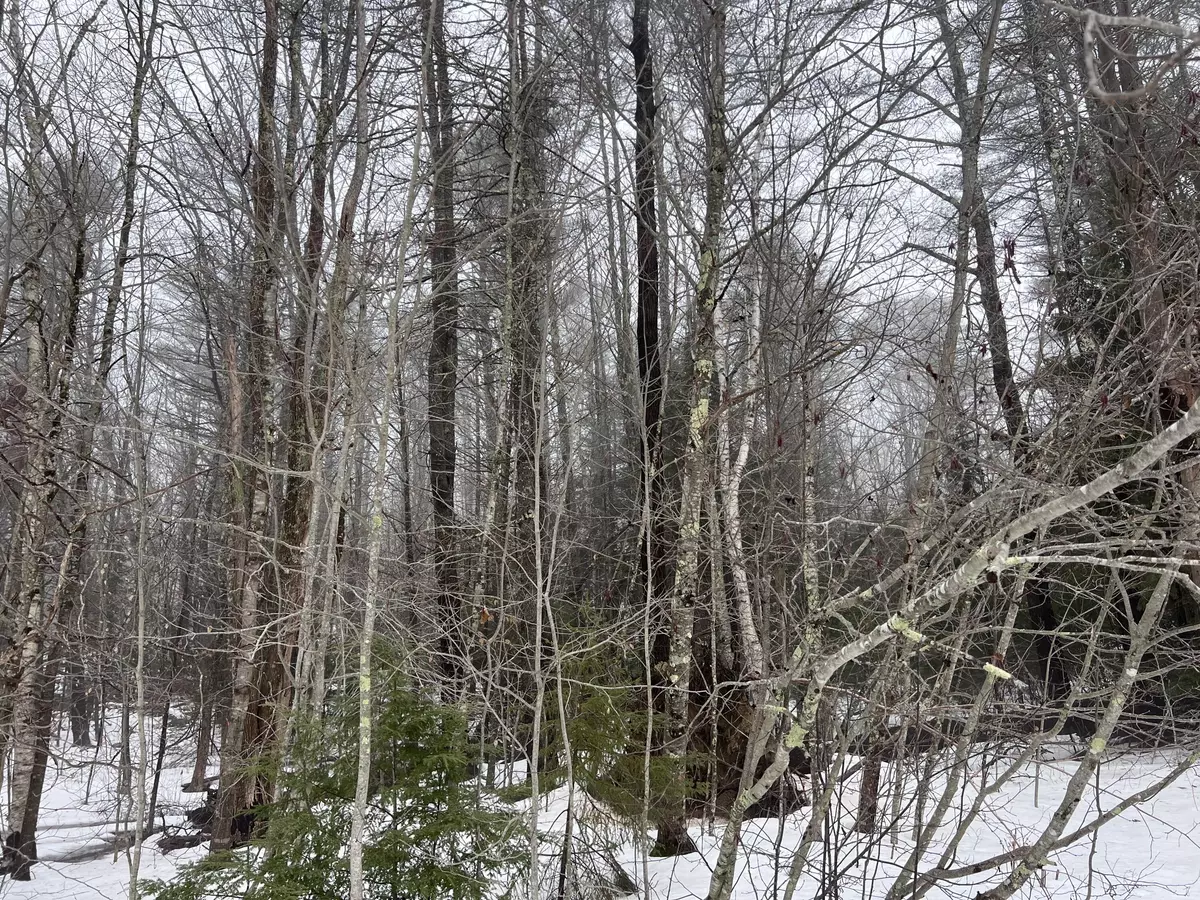 Freeport, ME 04032,0 US Route 1