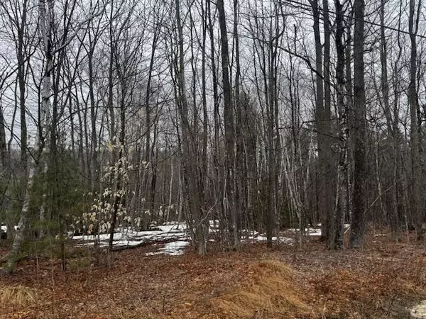 Anson, ME 04911,M13 L23-B Greenleaf RD