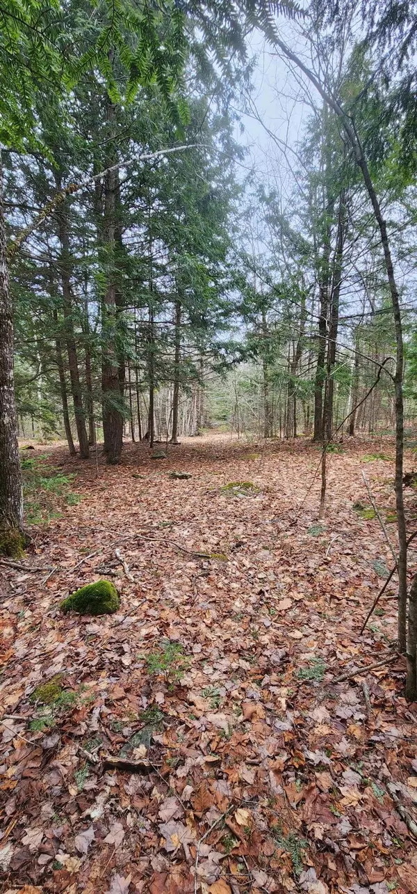 lot 3 Great Brook Drive DR, Orono, ME 04473