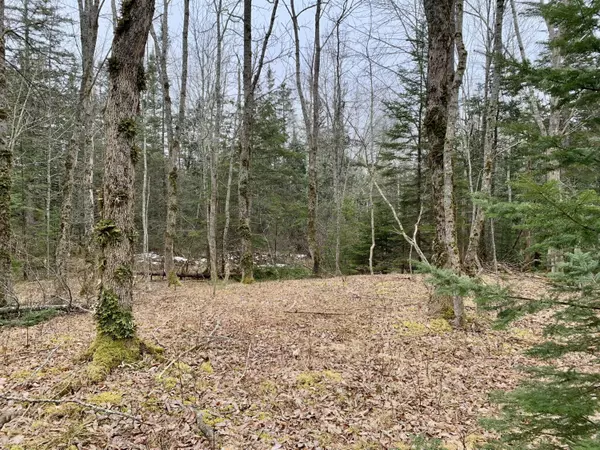 Pembroke, ME 04666,Map11Lot31 East River RD