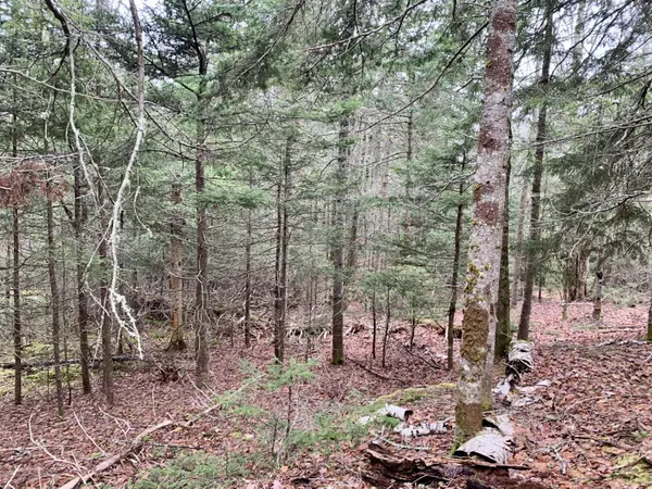 Map11Lot31 East River RD, Pembroke, ME 04666