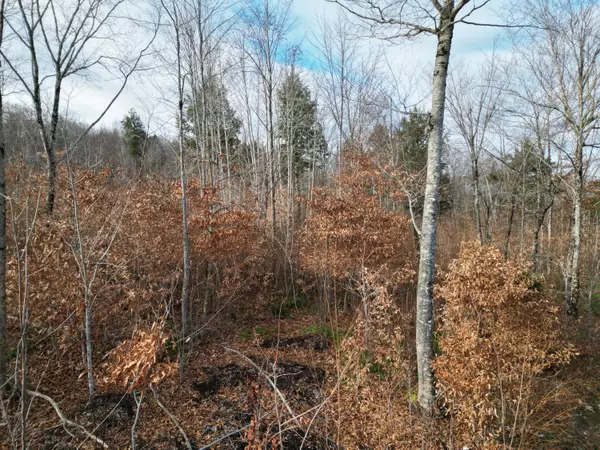 Springfield, ME 04487,Lot 10 Moose LN