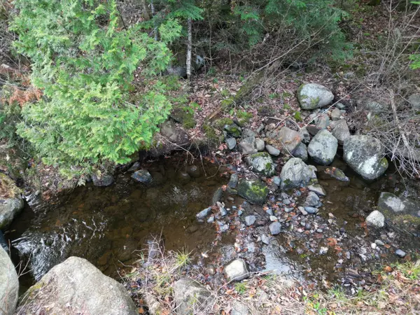 Springfield, ME 04487,Lot 10 Moose LN