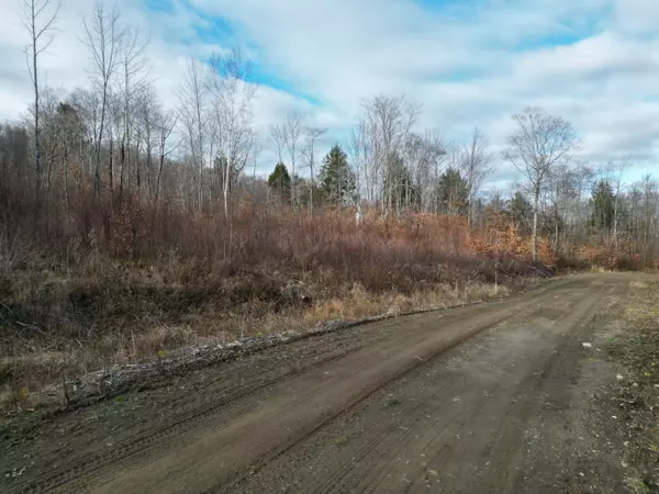 Springfield, ME 04487,Lot 10 Moose LN