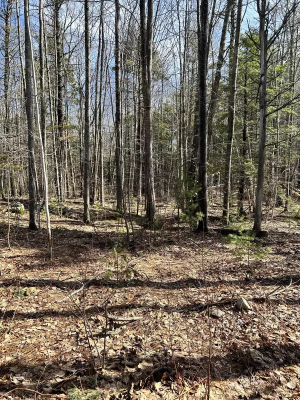 York, ME 03909,9 Lucas Farm RD