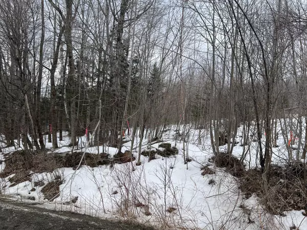 Saint Albans, ME 04971,TBD Bigelow RD