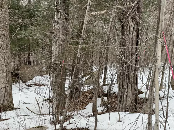 Saint Albans, ME 04971,TBD Bigelow RD