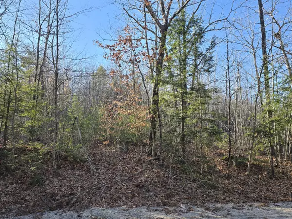 Naples, ME 04055,Lot 22K Songo School RD