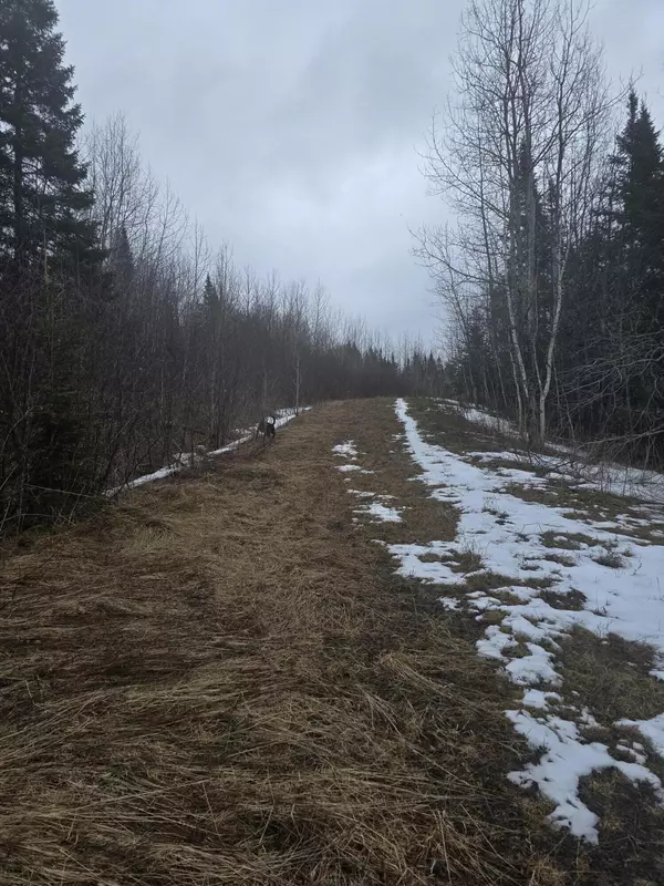 Ashland, ME 04732,L 12N Wrightville RD