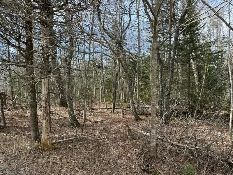 20 Kristenbreigh LN, Bristol, ME 04539