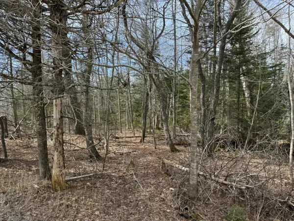 20 Kristenbreigh LN, Bristol, ME 04539