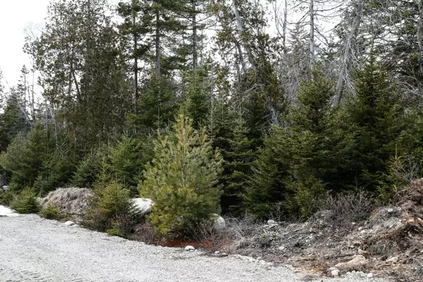 Surry, ME 04684,Lot 10 4R2 Pine Cone LN