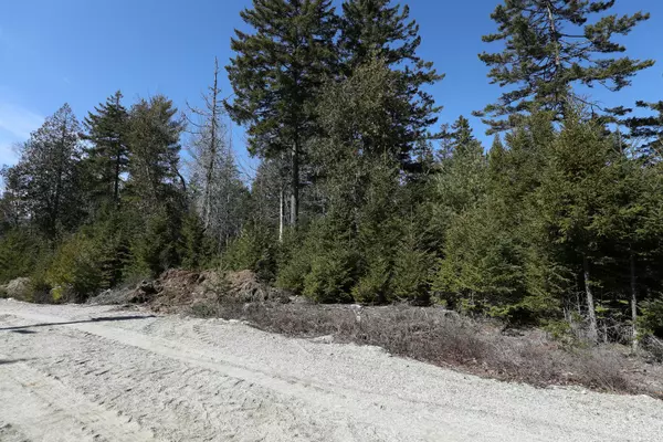 Surry, ME 04684,Lot 10 4R2 Pine Cone LN