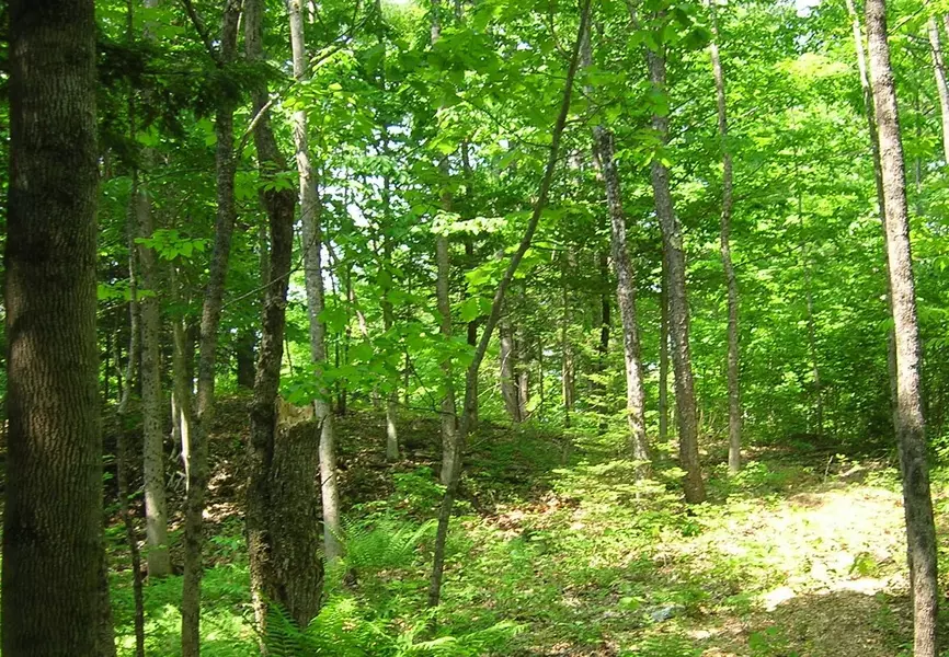 Lot #1 Sheepscot Way, China, ME 04358