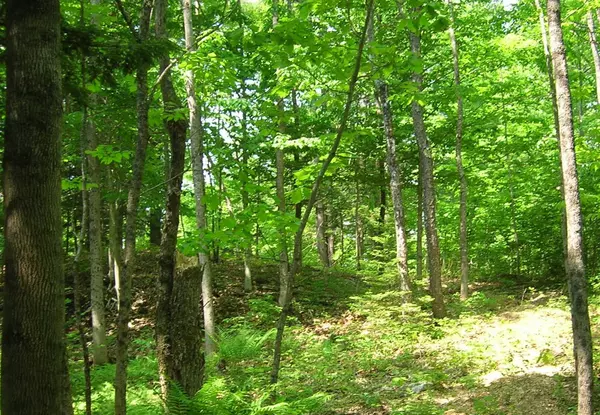 Lot #1 Sheepscot Way, China, ME 04358