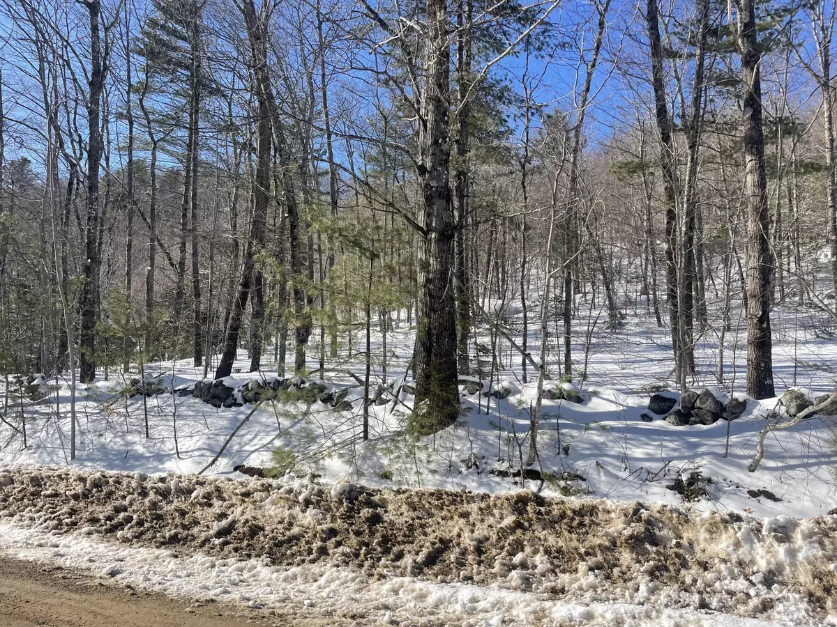 Woodstock, ME 04219,0 Curtis Hill Rd Map 1 Lot 23 RD