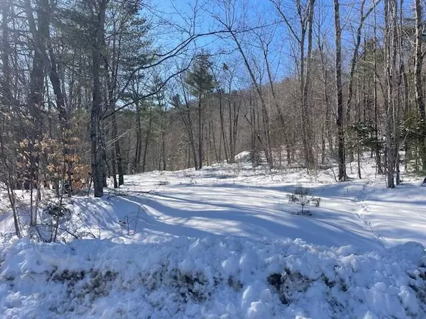 Woodstock, ME 04219,0 Curtis Hill Rd Map 1 Lot 23 RD