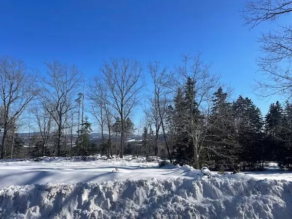 Woodstock, ME 04219,0 Curtis Hill Rd Map 1 Lot 23 RD