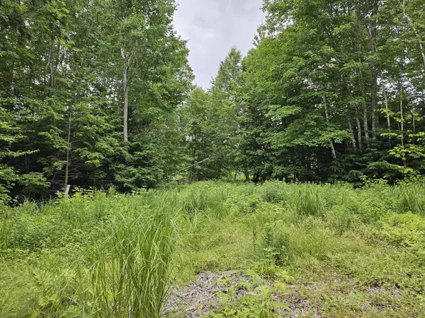Lot 85 Sunset Shores, Waltham, ME 04605
