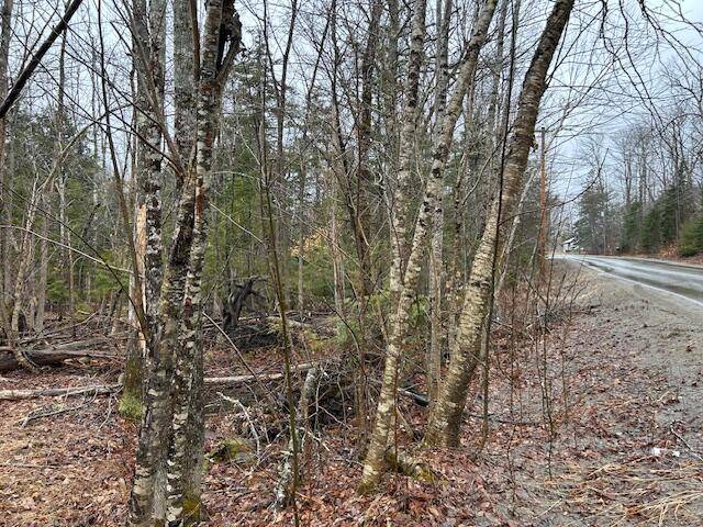 Corinth, ME 04427,M6Lot 2-2 Tate RD