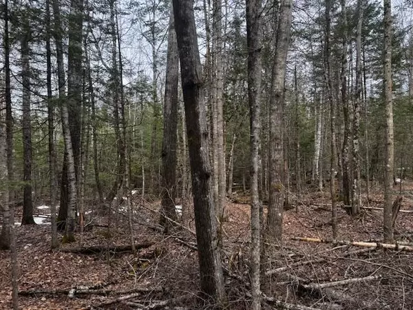 Stetson, ME 04488,M9 L19-A-1 Off Deer Run RD