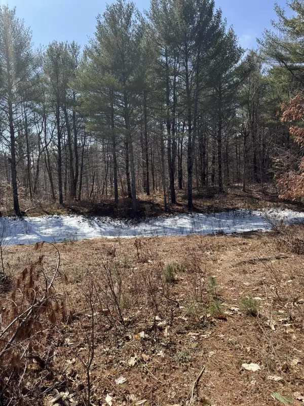 Casco, ME 04015,TBD Pine Hill RD