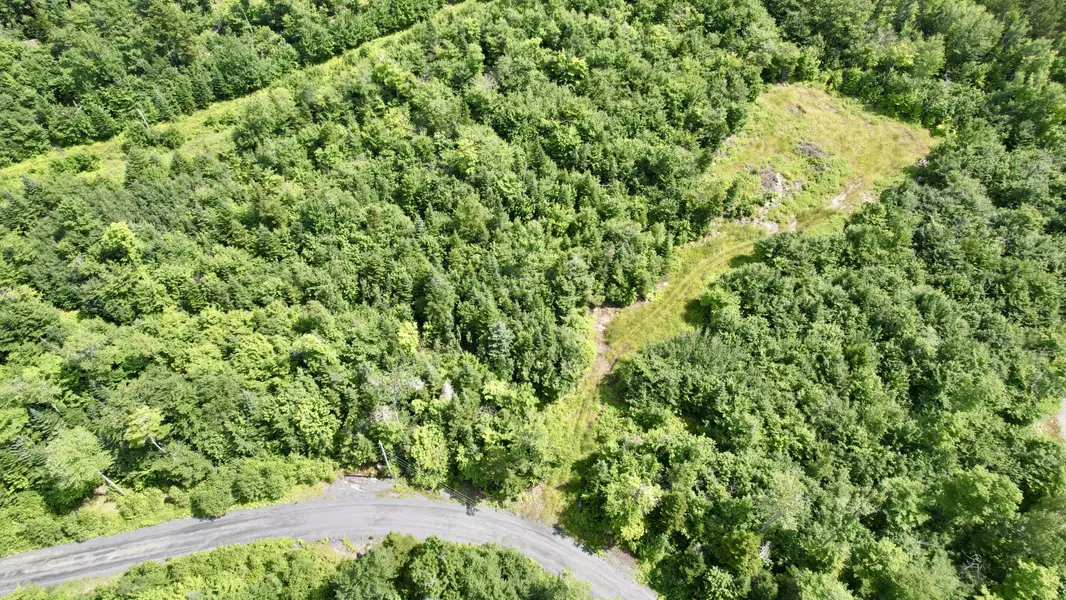 42 Black Bear LN, Greenville, ME 04441