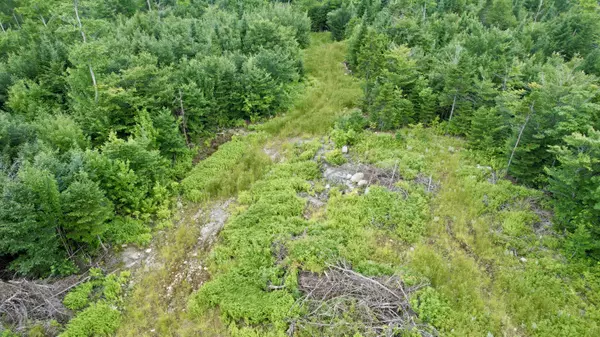 Greenville, ME 04441,42 Black Bear LN