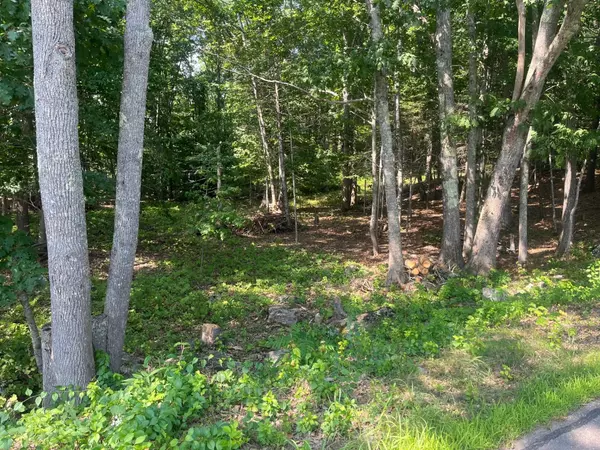 Lot 1 Lewis Hill RD, Newcastle, ME 04553