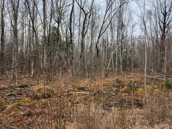 Palmyra, ME 04965,Lot 29-4 Windfall LN