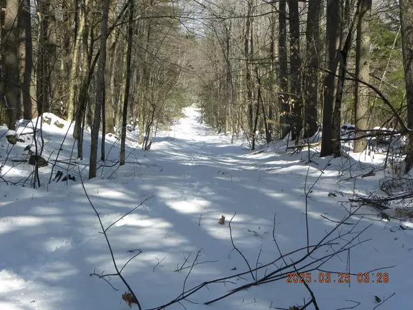 Waterboro, ME 04030,TBD Bradeen RD