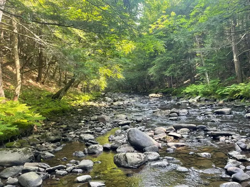 Starks, ME 04911,R5L31 W Mills RD