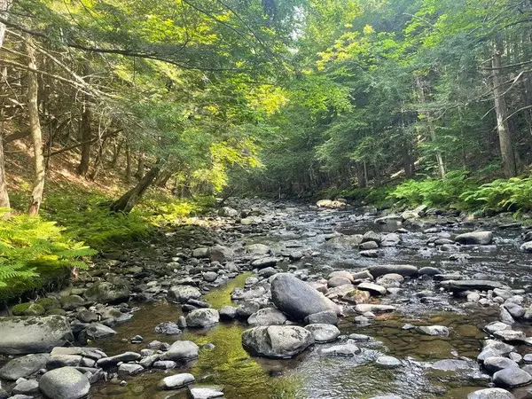 R5L31 W Mills RD, Starks, ME 04911