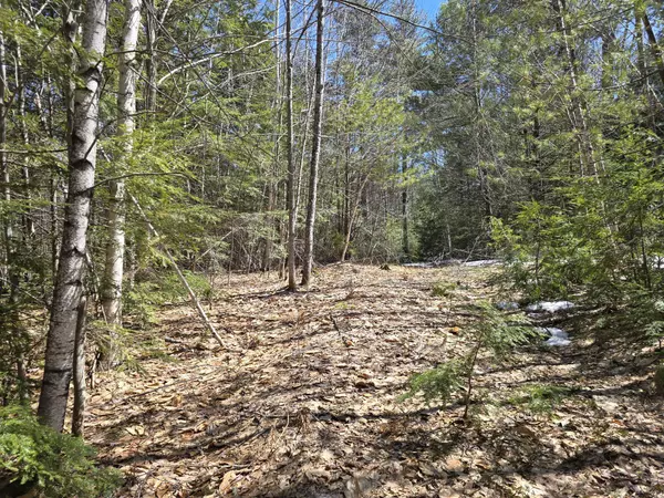 Brownfield, ME 04010,Lot 4A Center Conway RD