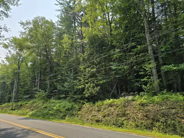 Lot 4A Center Conway RD, Brownfield, ME 04010