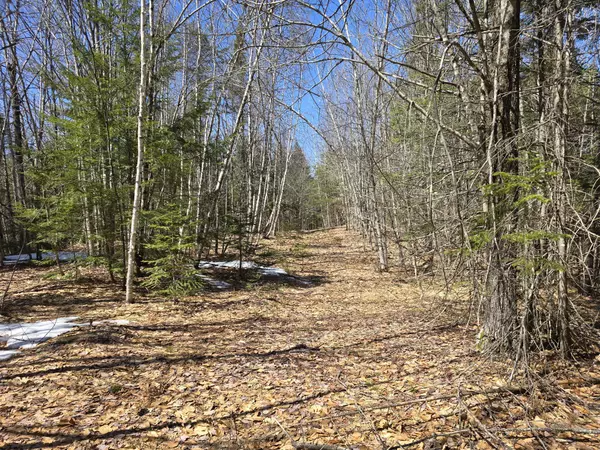 Brownfield, ME 04010,Lot 4A Center Conway RD