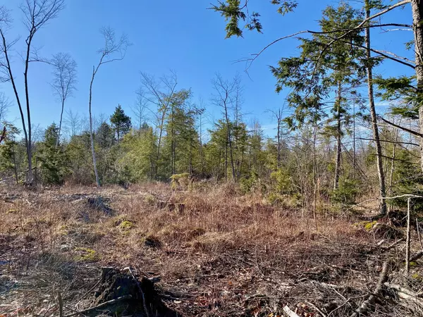 Gorham, ME 04038,Lot 3 Great Falls RD