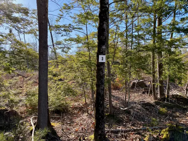 Gorham, ME 04038,Lot 3 Great Falls RD