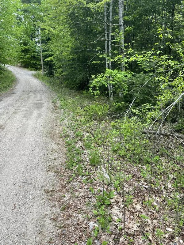 Brownfield, ME 04010,Lot 1 Log Yard WAY