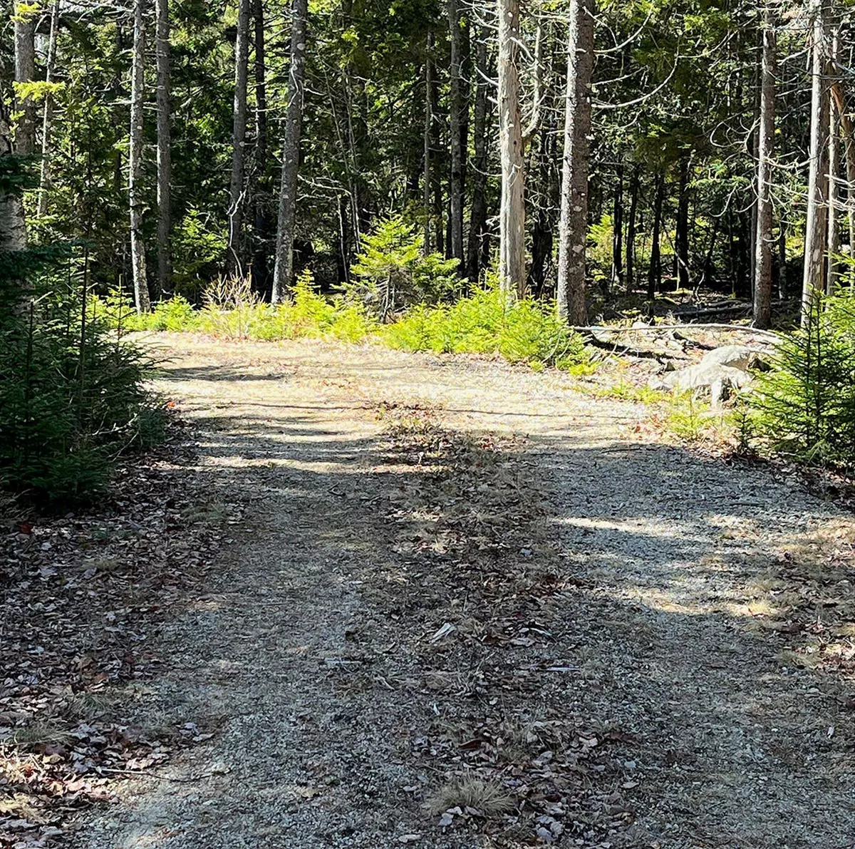 Winter Harbor, ME 04693,341 Summer Harbor RD