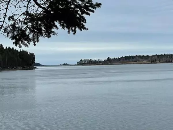 Lot #83 Crowley Island, Addison, ME 04606