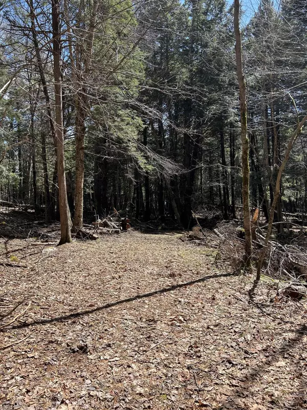 Mount Vernon, ME 04352,Lot 71-8 Five Seasons RD