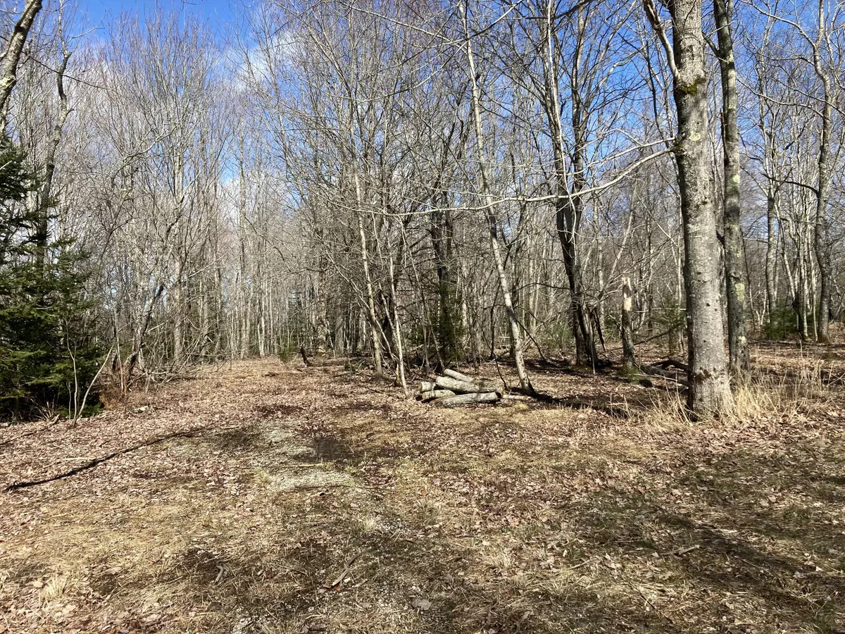 Hancock, ME 04640,Lot 066 Eastside Road