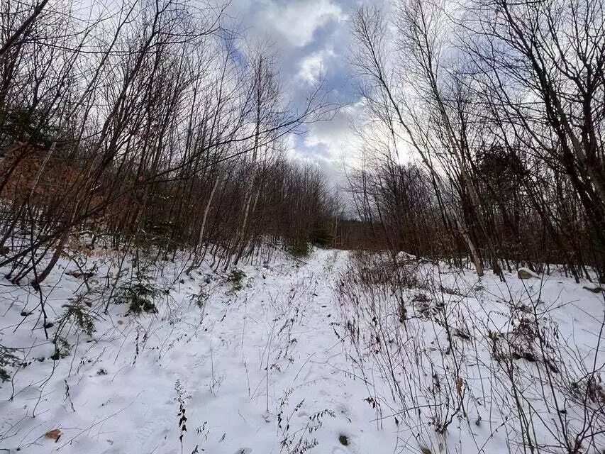 Rumford, ME 04276,Lot 1 S Rumford RD