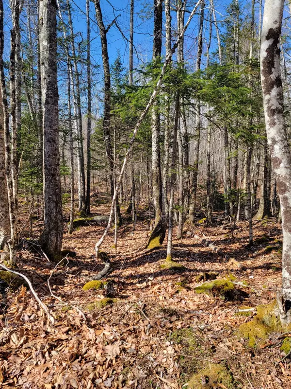 Deblois, ME 04622,Lot #6 Hardwood Ridge Road RD