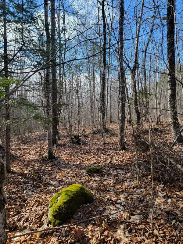 Deblois, ME 04622,Lot #6 Hardwood Ridge Road RD