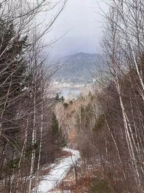 Rumford, ME 04276,Lot 2 S Rumford RD